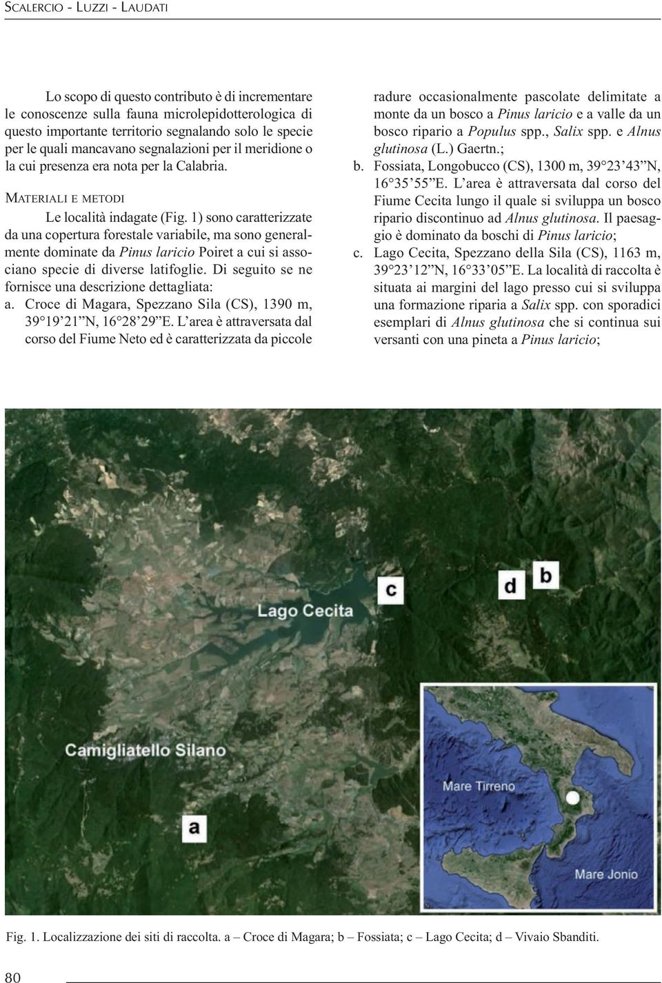 1) sono caratterizzate da una copertura forestale variabile, ma sono generalmente dominate da Pinus laricio Poiret a cui si associano specie di diverse latifoglie.