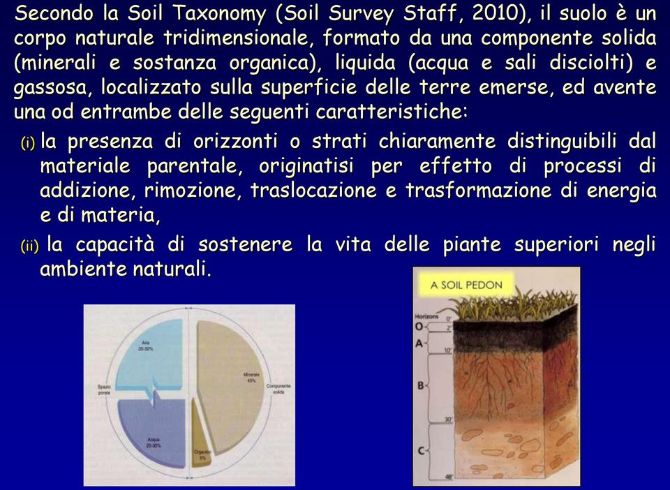 caratteristiche: (i) la presenza di orizzonti o strati chiaramente distinguibili dal materiale parentale, originatisi per effetto di processi di