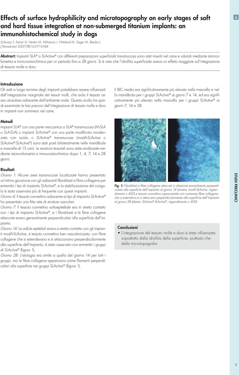 6 Abstract: Impianti SLA o SLActive con differenti preparazioni superficiali transmucosa sono stati inseriti nel cane e valutati mediante istomorfometria e immunoistochimica per un periodo fino a 28