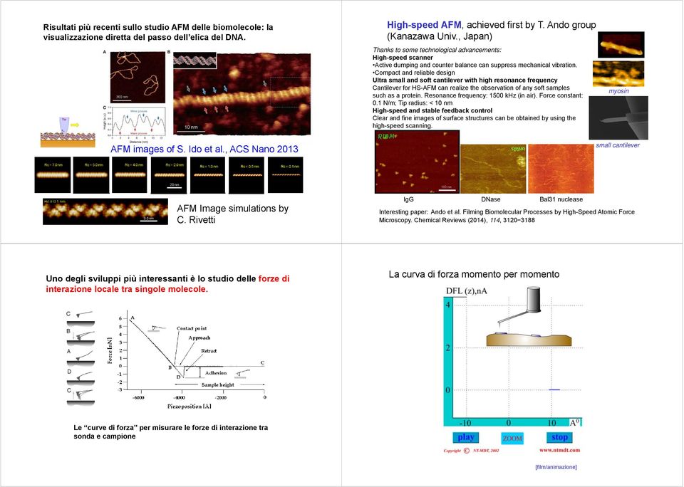 Compact and reliable design Ultra small and soft cantilever with high resonance frequency Cantilever for HS-AFM can realize the observation of any soft samples such as a protein.