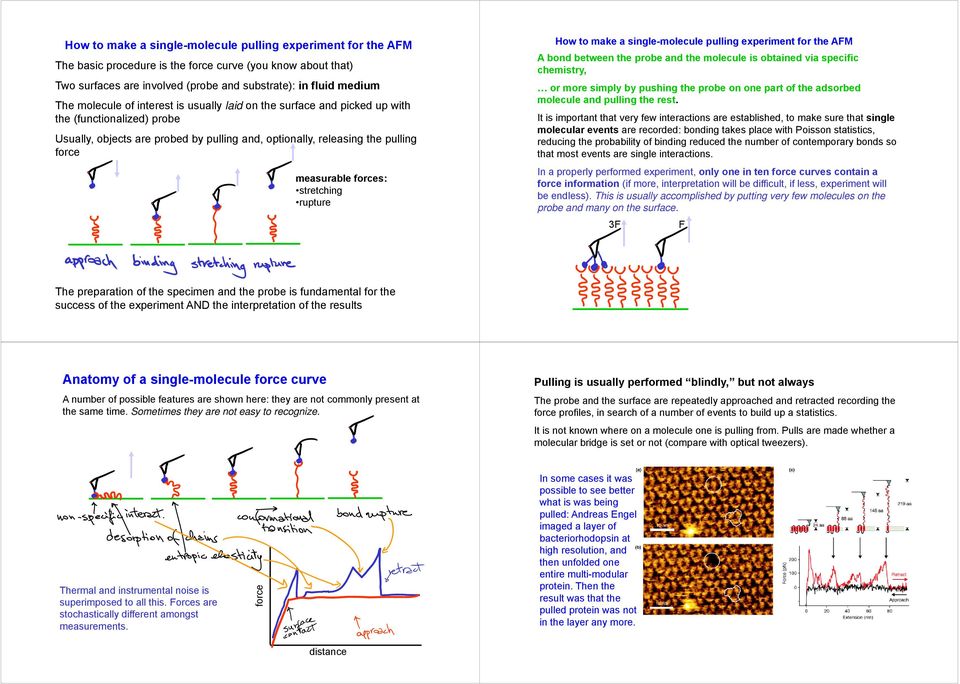 stretching rupture How to make a single-molecule pulling experiment for the AFM A bond between the probe and the molecule is obtained via specific chemistry, or more simply by pushing the probe on