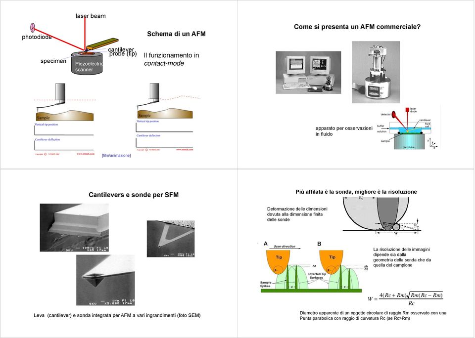 affilata è la sonda, migliore è la risoluzione Deformazione delle dimensioni dovuta alla dimensione finita delle sonde La risoluzione delle immagini dipende sia dalla