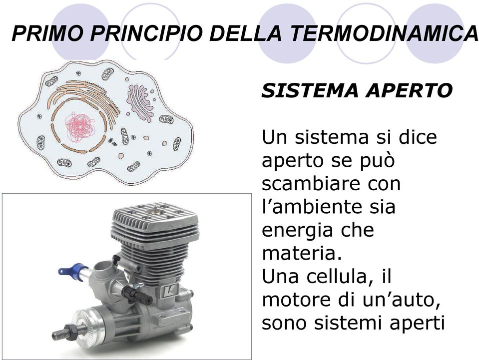 ambiente sia energia che materia.