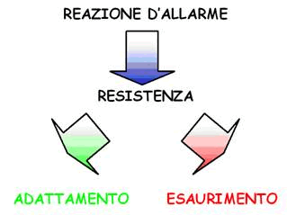 Definizione di STRESS una reazione aspecifica dell organismo a quasi ogni tipo di esposizione, stimolo e sollecitazione.