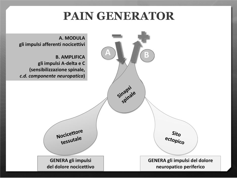 c.d. componente neuropatica) A B GENERA gli impulsi del dolore