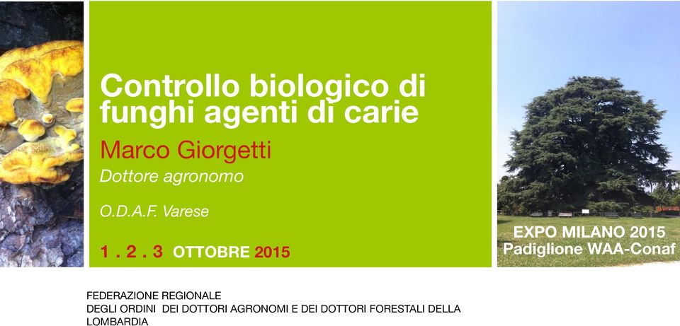 3 OTTOBRE 2015 EXPO MILANO 2015 Padiglione WAA-Conaf