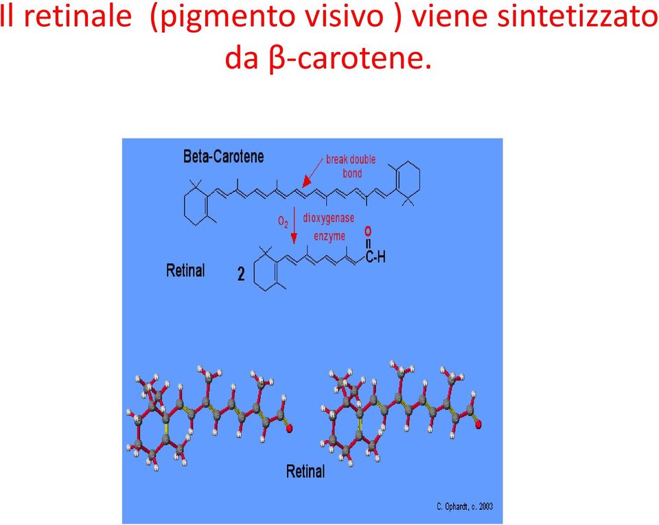 visivo ) viene