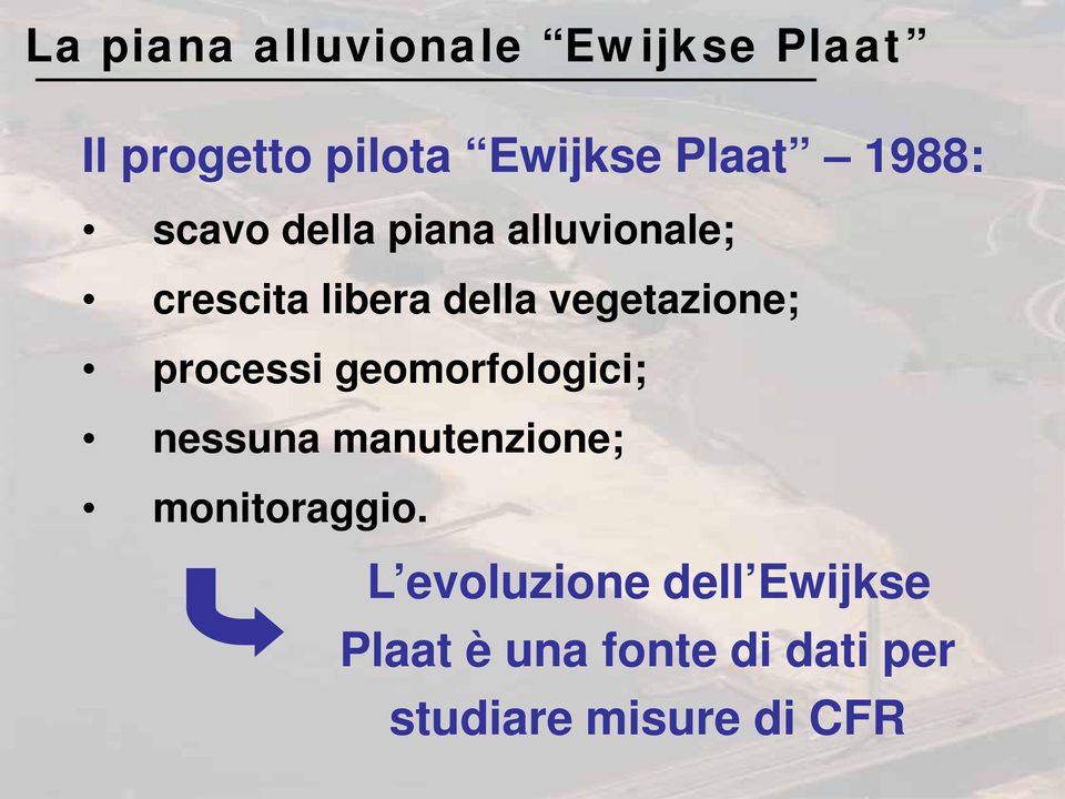 vegetazione; processi geomorfologici; nessuna manutenzione;