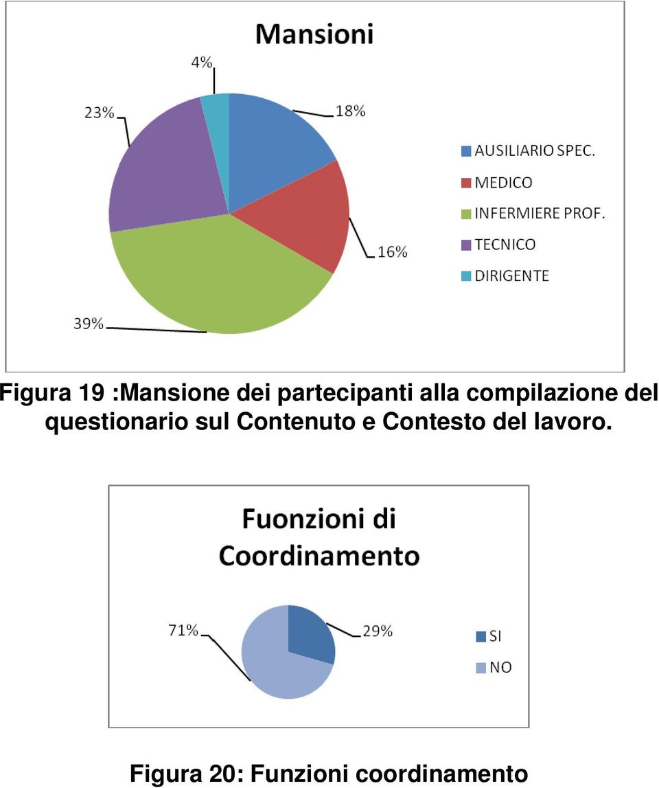 del questionario sul Contenuto e