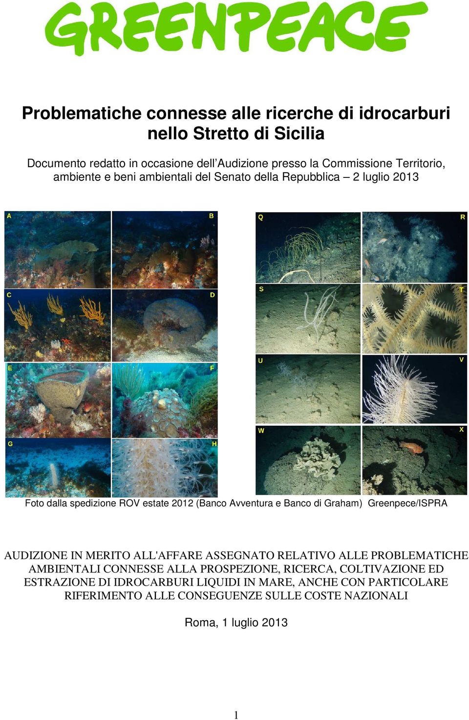 Graham) Greenpece/ISPRA AUDIZIONE IN MERITO ALL'AFFARE ASSEGNATO RELATIVO ALLE PROBLEMATICHE AMBIENTALI CONNESSE ALLA PROSPEZIONE, RICERCA,