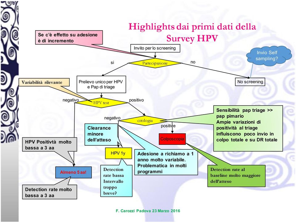 HPV test Clearance minore dell atteso negativo HPV 1y Detection rate bassa Intervallo troppo breve?