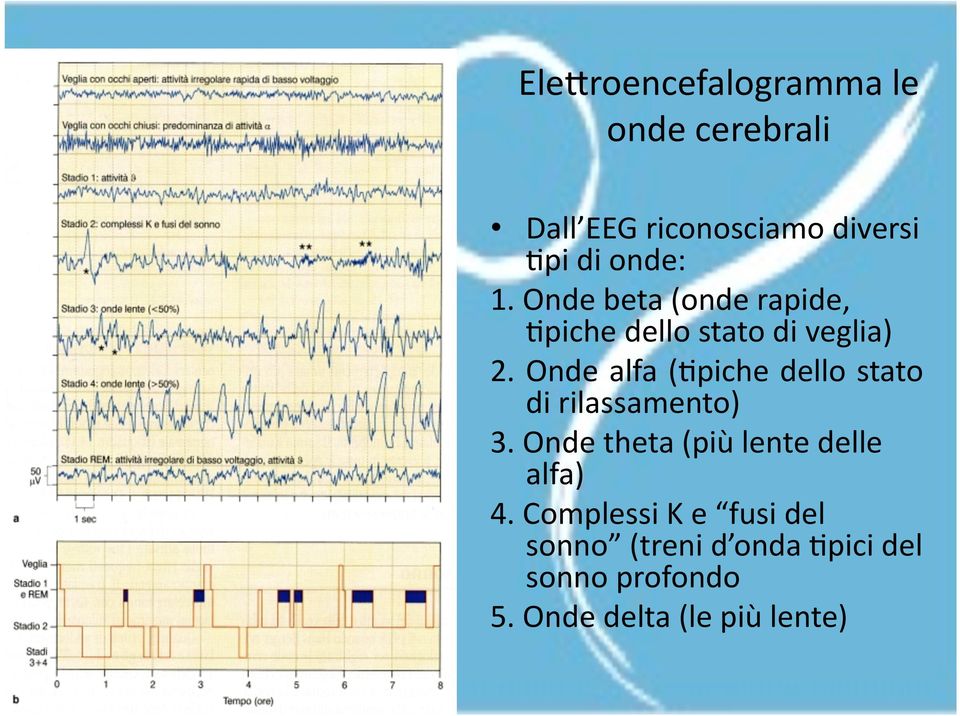 Onde alfa (;piche dello stato di rilassamento) 3.