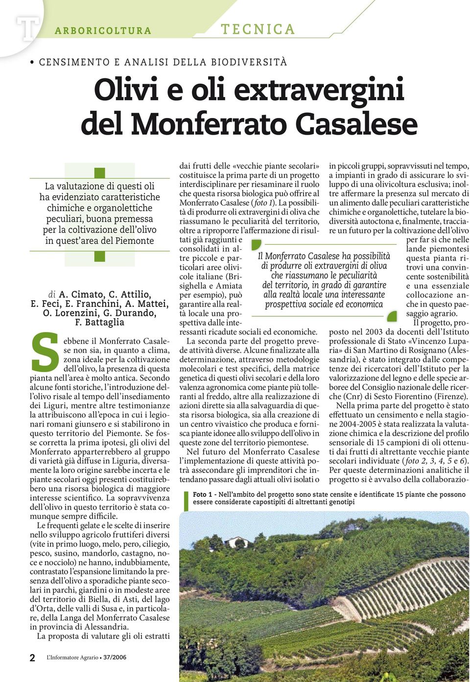 Battaglia Sebbene il Monferrato Casalese non sia, in quanto a clima, zona ideale per la coltivazione dell olivo, la presenza di questa pianta nell area è molto antica.