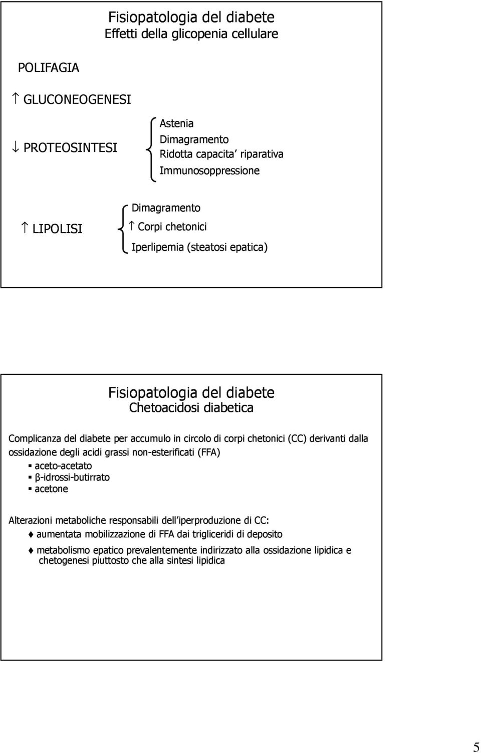 (CC) derivanti dalla ossidazione degli acidi grassi non-esterificati (FFA) aceto-acetato β-idrossi-butirrato acetone Alterazioni metaboliche responsabili dell iperproduzione di CC: