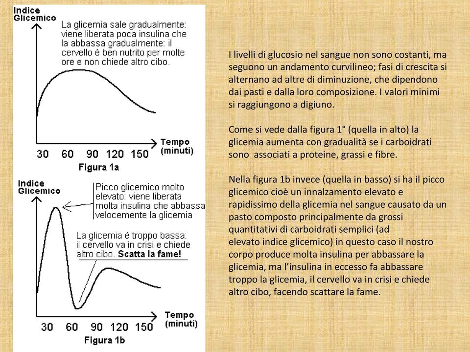 Nella figura 1b invece (quella in basso) si ha il picco glicemico cioè un innalzamento elevato e rapidissimo della glicemia nel sangue causato da un pasto composto principalmente da grossi