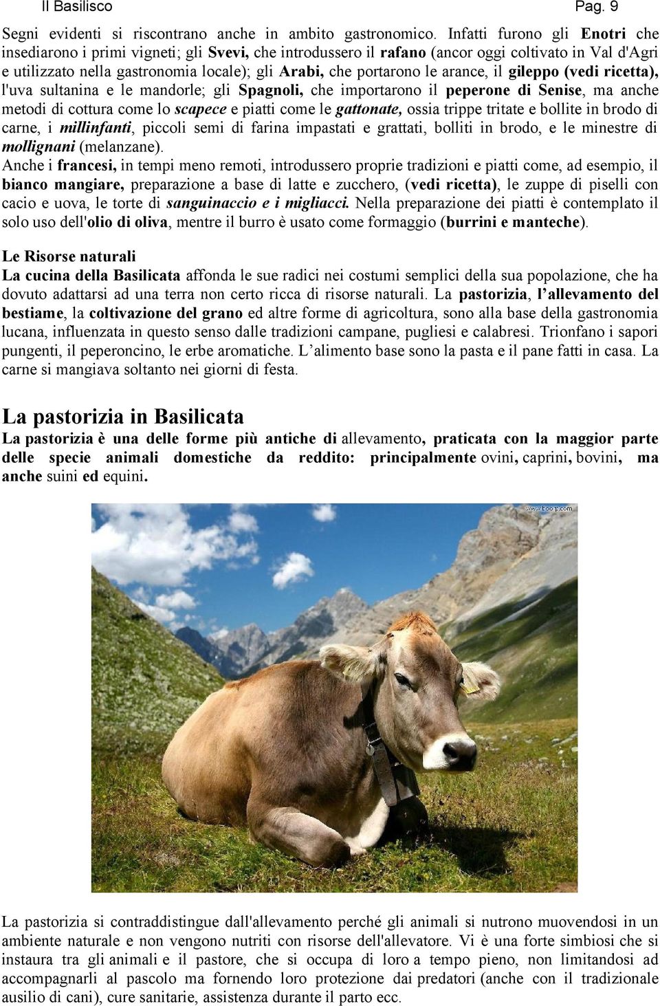 le arance, il gileppo (vedi ricetta), l'uva sultanina e le mandorle; gli Spagnoli, che importarono il peperone di Senise, ma anche metodi di cottura come lo scapece e piatti come le gattonate, ossia