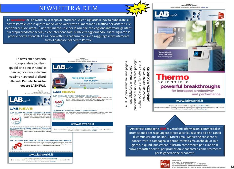 X 600 PX NEWSLETTER & D.E.M.