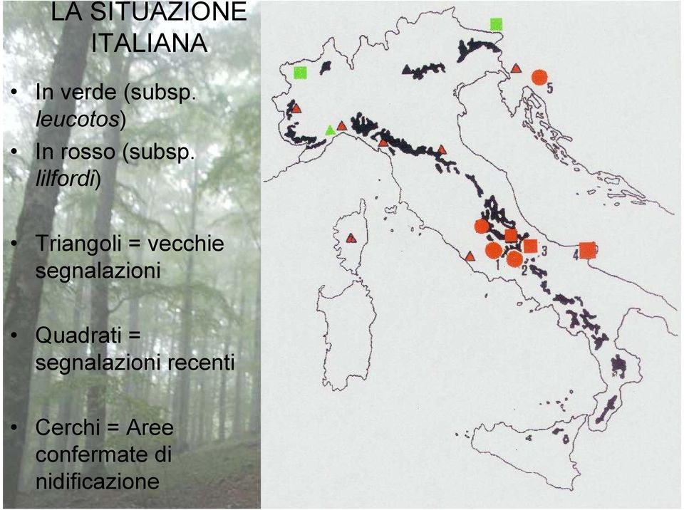 lilfordi) Triangoli = vecchie segnalazioni