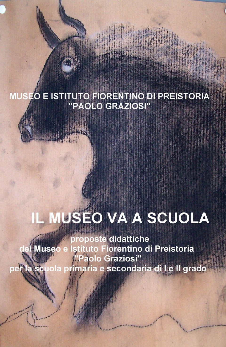 del Museo e Istituto Fiorentino di Preistoria "Paolo