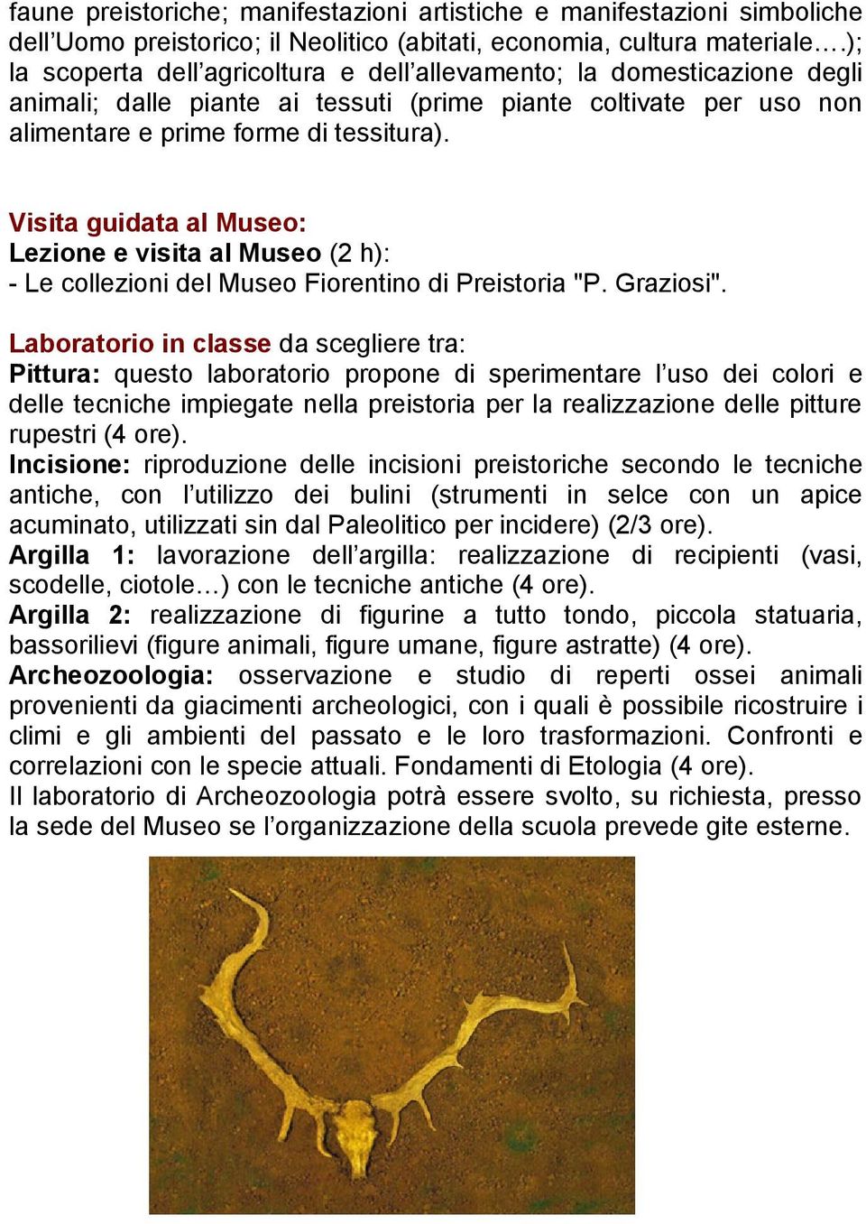 Visita guidata al Museo: Lezione e visita al Museo (2 h): - Le collezioni del Museo Fiorentino di Preistoria "P. Graziosi".