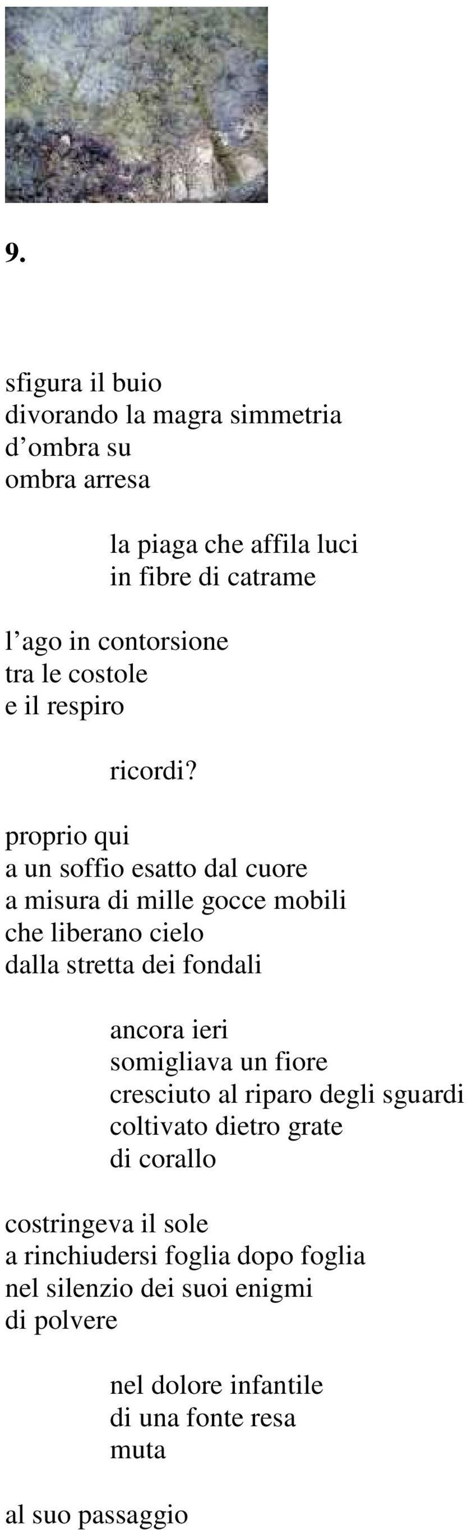 proprio qui a un soffio esatto dal cuore a misura di mille gocce mobili che liberano cielo dalla stretta dei fondali ancora ieri