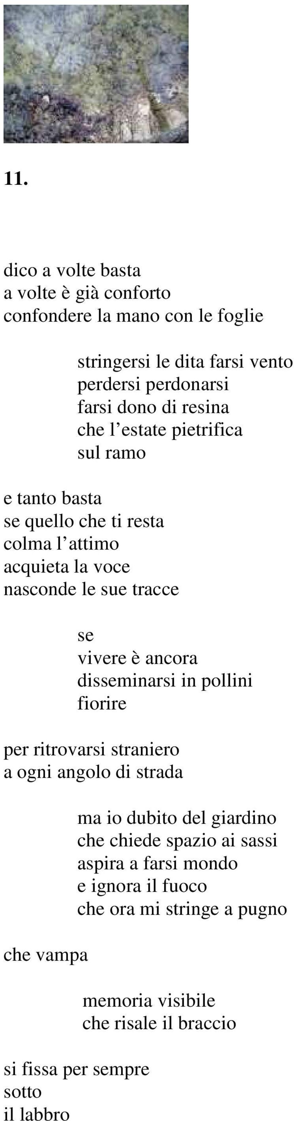 ancora disseminarsi in pollini fiorire per ritrovarsi straniero a ogni angolo di strada che vampa ma io dubito del giardino che chiede spazio ai