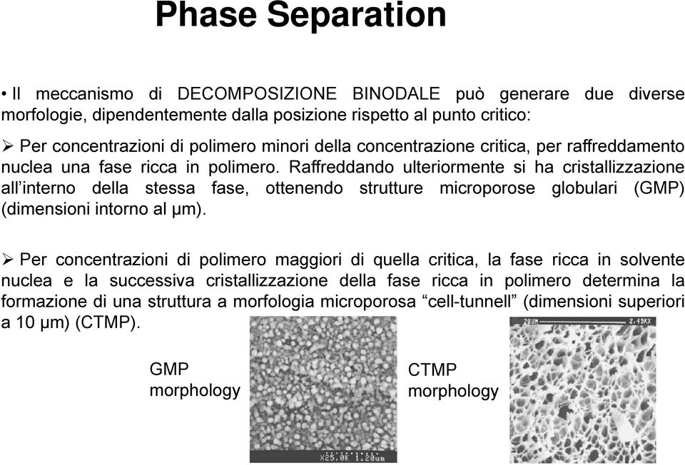 Raffreddando ulteriormente si ha cristallizzazione all interno della stessa fase, ottenendo strutture microporose globulari (GMP) (dimensioni intorno al µm).