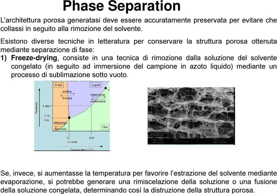 soluzione del solvente congelato (in seguito ad immersione del campione in azoto liquido) mediante un processo di sublimazione sotto vuoto.