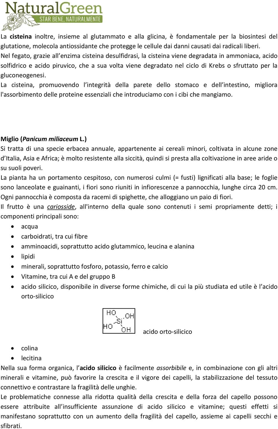 gluconeogenesi. La cisteina, promuovendo l integrità della parete dello stomaco e dell intestino, migliora l'assorbimento delle proteine essenziali che introduciamo con i cibi che mangiamo.