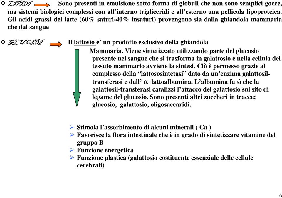 Viene sintetizzato utilizzando parte del glucosio presente nel sangue che si trasforma in galattosio e nella cellula del tessuto mammario avviene la sintesi.