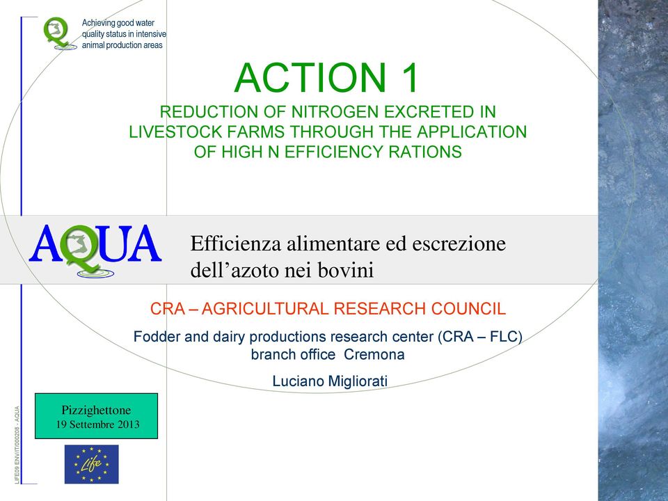 Pizzighettone 19 Settembre 2013 Efficienza alimentare ed escrezione dell azoto nei bovini CRA