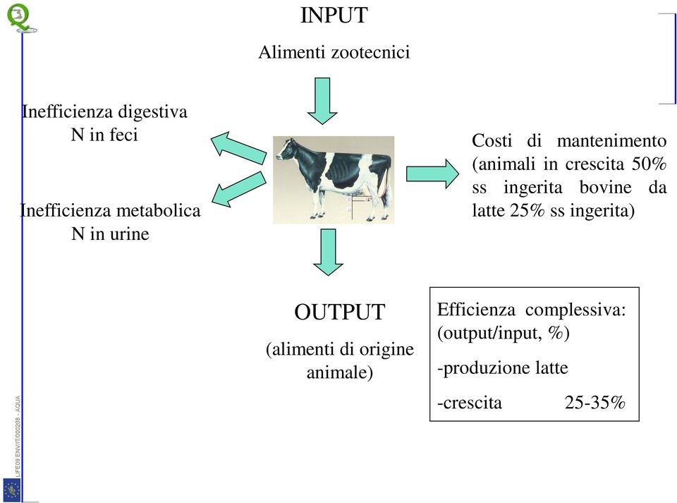 ingerita bovine da latte 25% ss ingerita) OUTPUT (alimenti di origine
