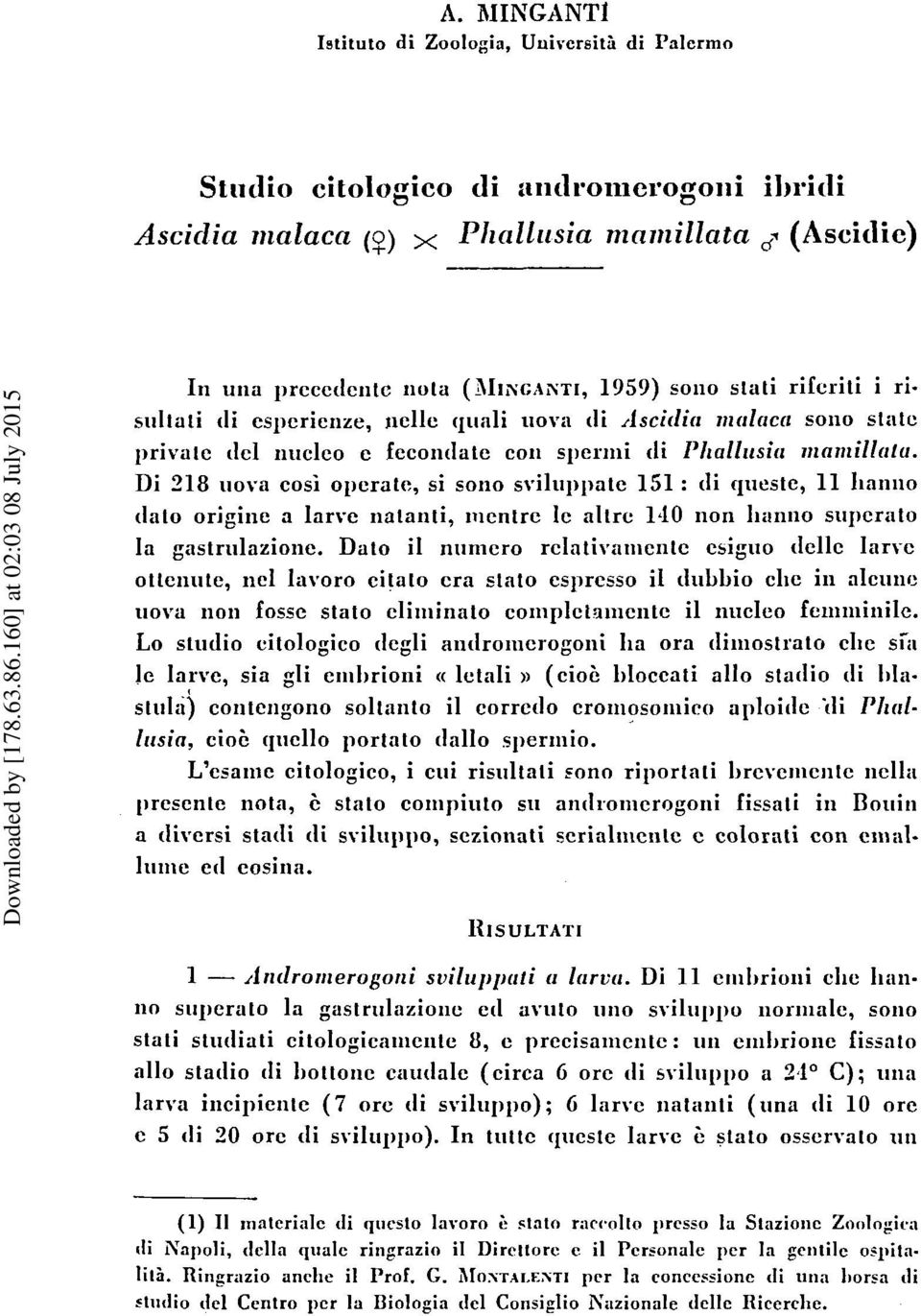 Di 318 uova cosi operate, si sono sviluppatc 151 : tli questc, 11 lian~io tlato origiiie a larve natanti, iiicntrc Ic altrc 140 lion 11anno s1iperilto la gastrulazione.