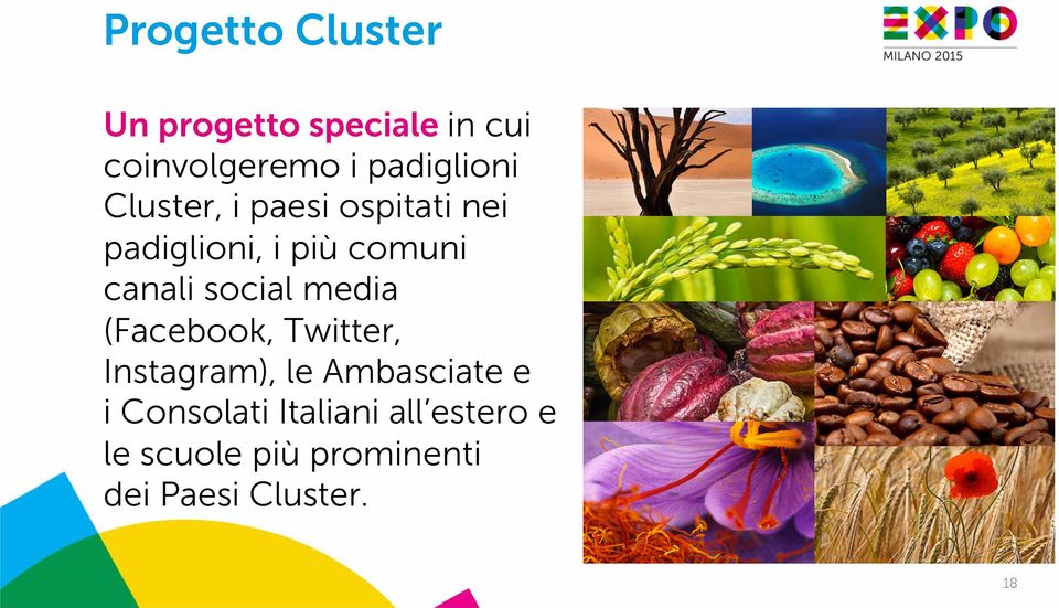 canali social media (Facebook, Twitter, Instagram), le Ambasciate e