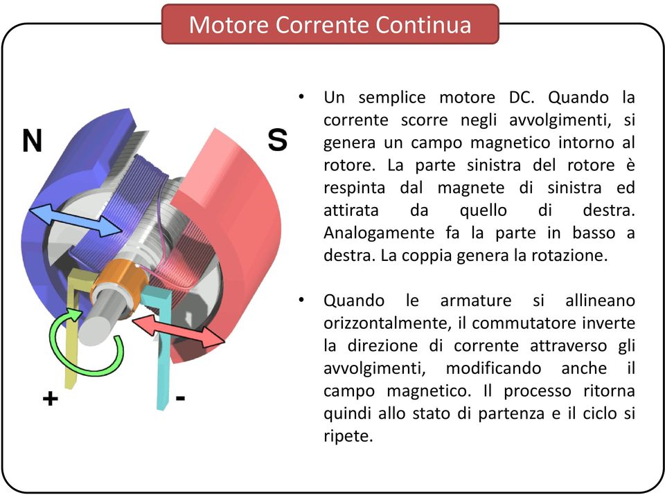 La parte sinistra del rotore è respinta dal magnete di sinistra ed attirata da quello di destra.