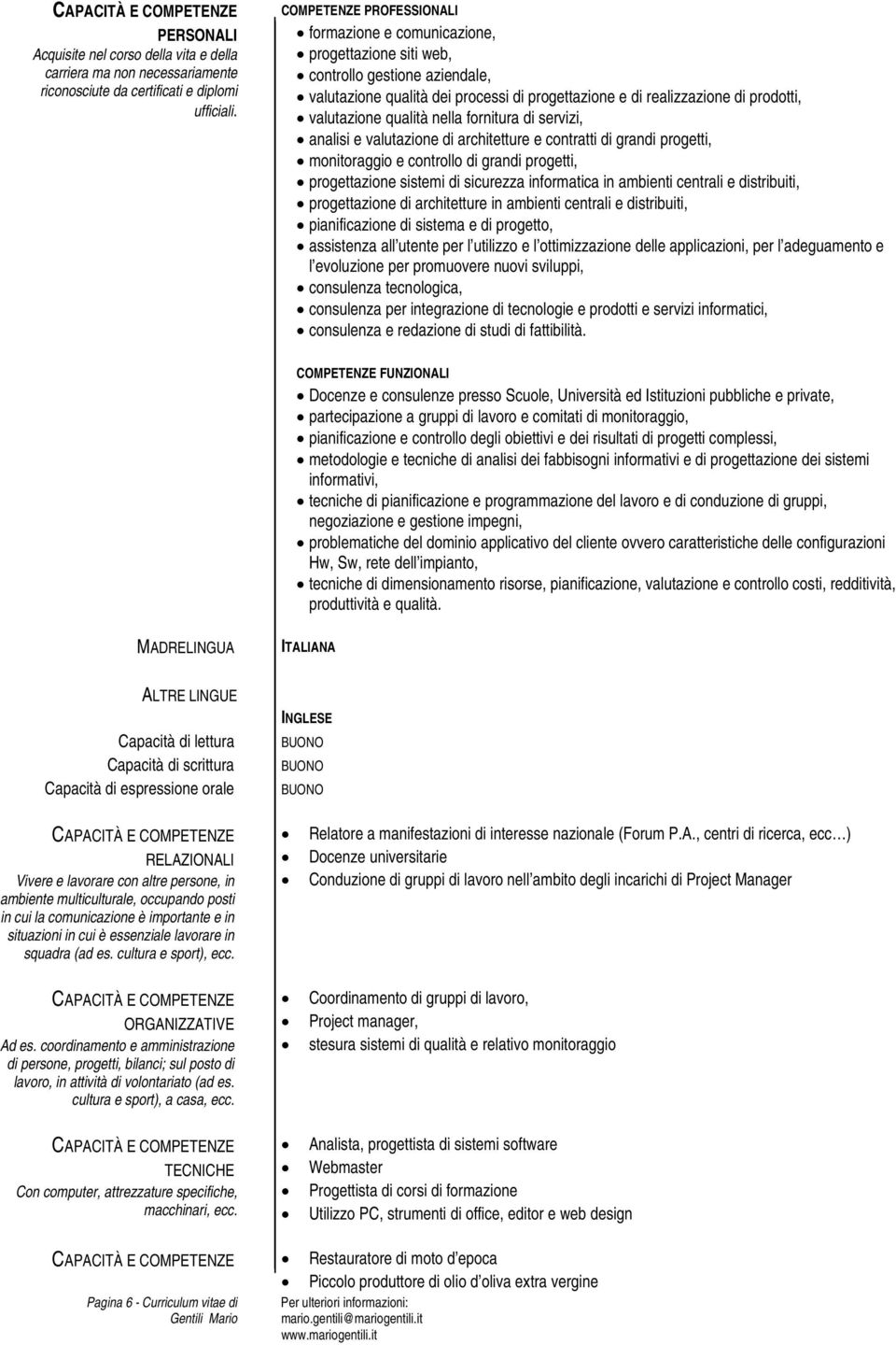 valutazione qualità nella fornitura di servizi, analisi e valutazione di architetture e contratti di grandi progetti, monitoraggio e controllo di grandi progetti, progettazione sistemi di sicurezza