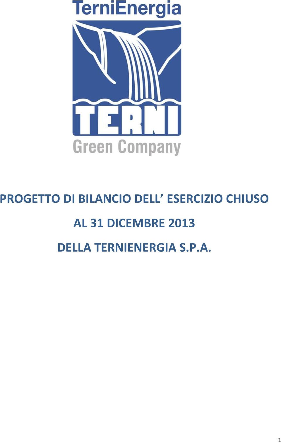 AL 31 DICEMBRE 2013