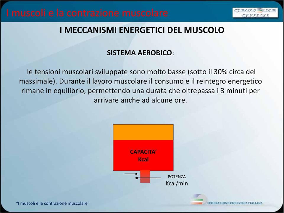 Durante il lavoro muscolare il consumo e il reintegro energetico rimane in equilibrio, permettendo una