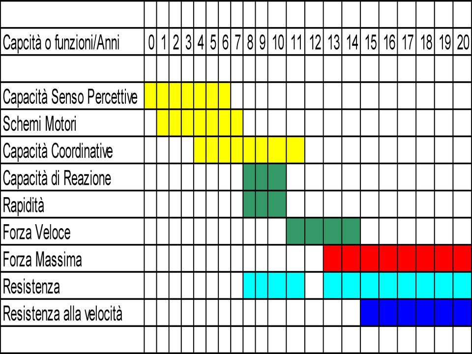 Motori Capacità Coordinative Capacità di Reazione