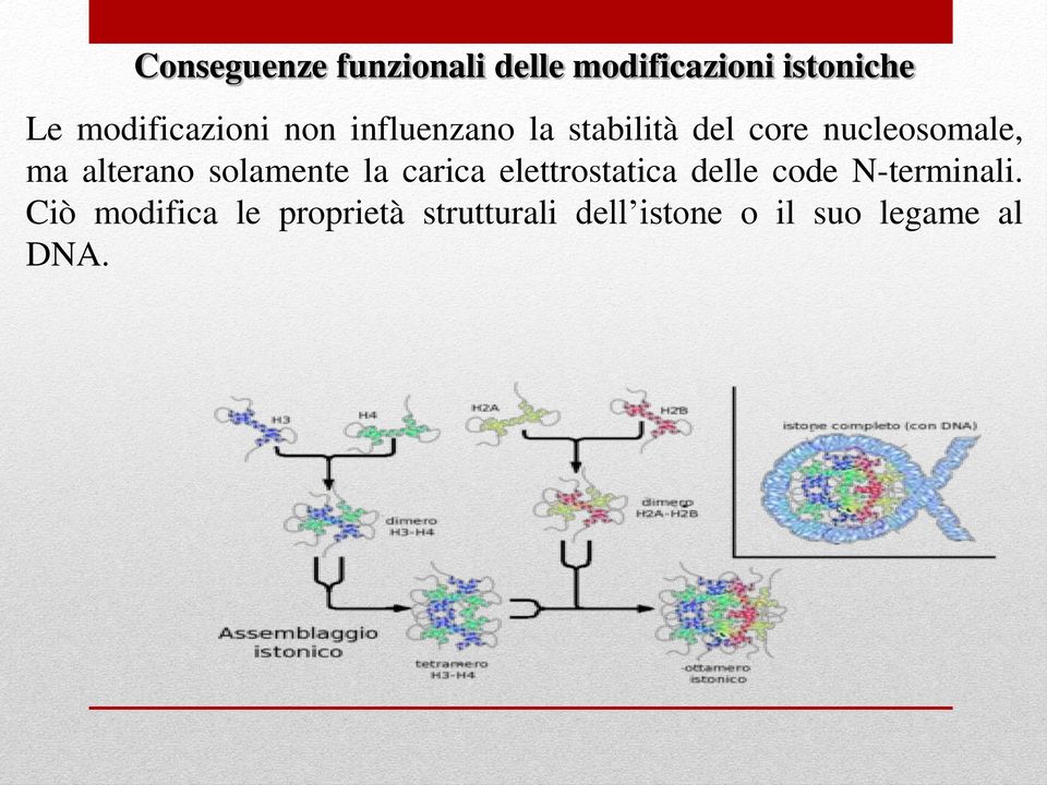 ma alterano solamente la carica elettrostatica delle code