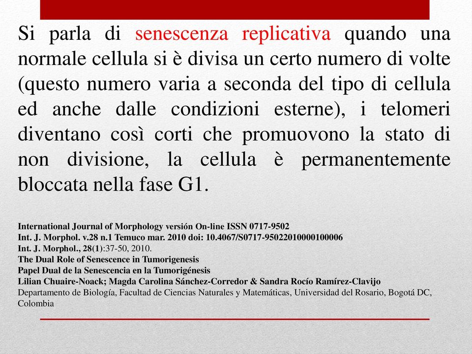 1 Temuco mar. 2010 doi: 10.4067/S0717-95022010000100006 Int. J. Morphol., 28(1):37-50, 2010.