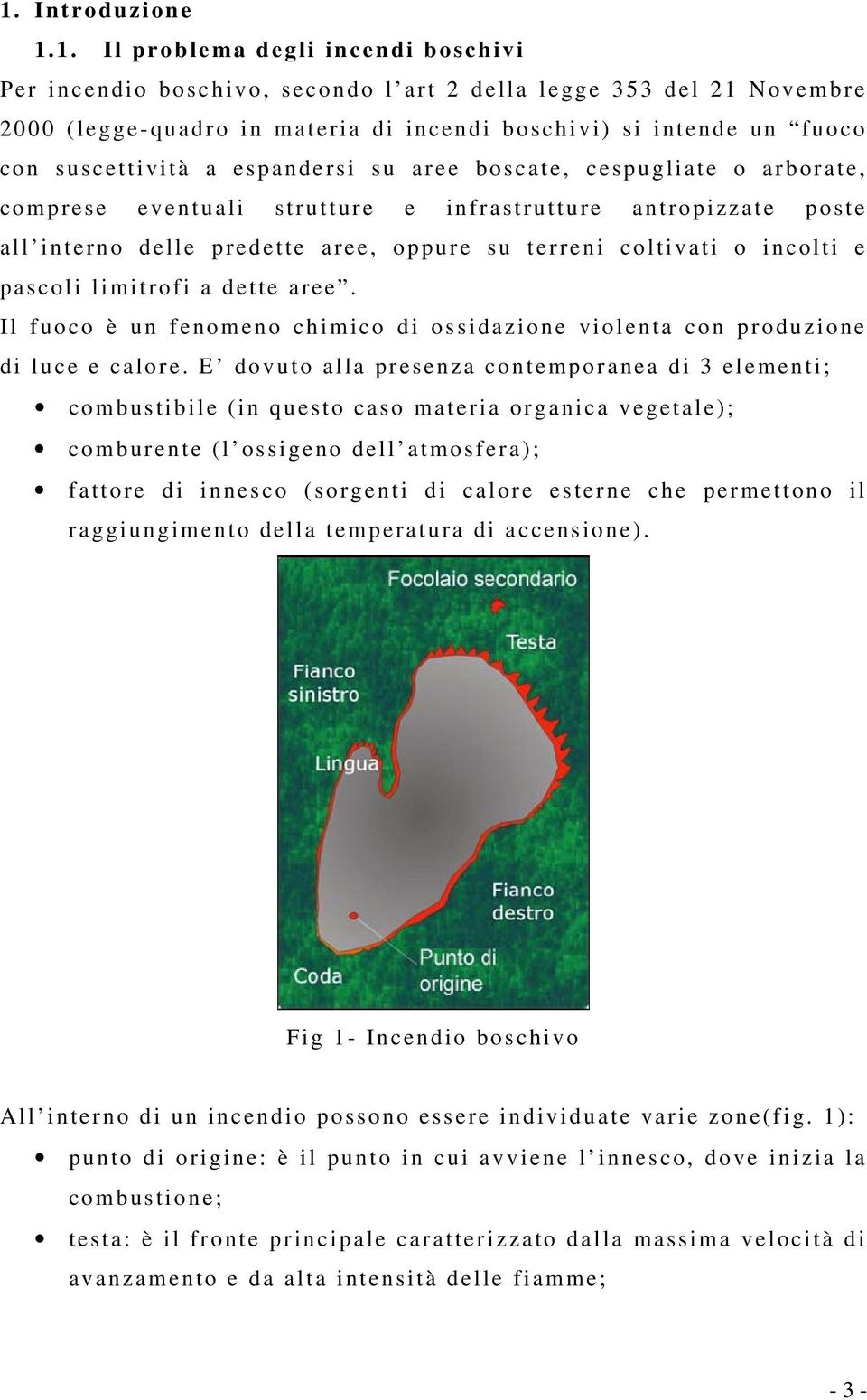 incolti e pascoli limitrofi a dette aree. Il fuoco è un fenomeno chimico di ossidazione violenta con produzione di luce e calore.