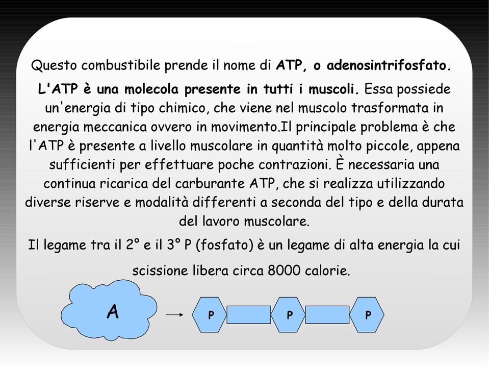 il principale problema è che l'atp è presente a livello muscolare in quantità molto piccole, appena sufficienti per effettuare poche contrazioni.