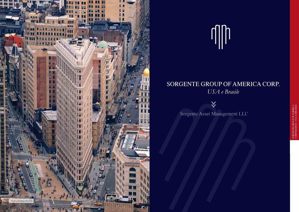 USA e Brasile Sorgente Asset Management LLC SORGENTE GROUP OF AMERICA CORPORATION -
