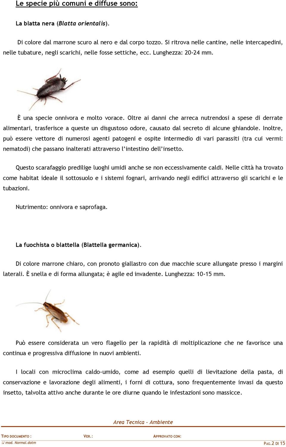 Oltre ai danni che arreca nutrendosi a spese di derrate alimentari, trasferisce a queste un disgustoso odore, causato dal secreto di alcune ghiandole.