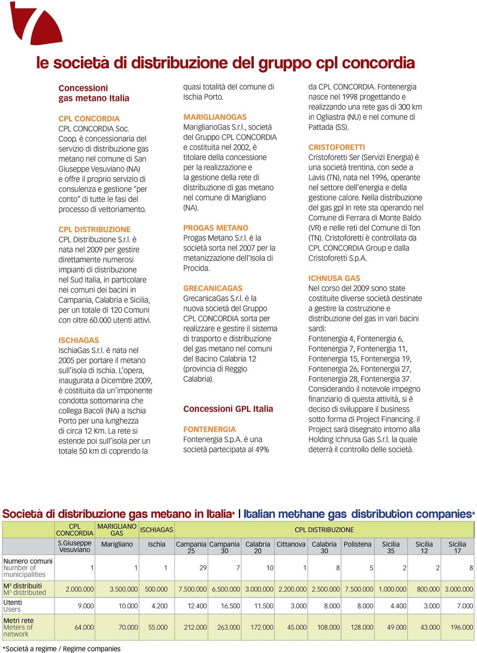 vettoriamento. CPL DISTRIBUZIONE CPL Distribuzione S.r.l.