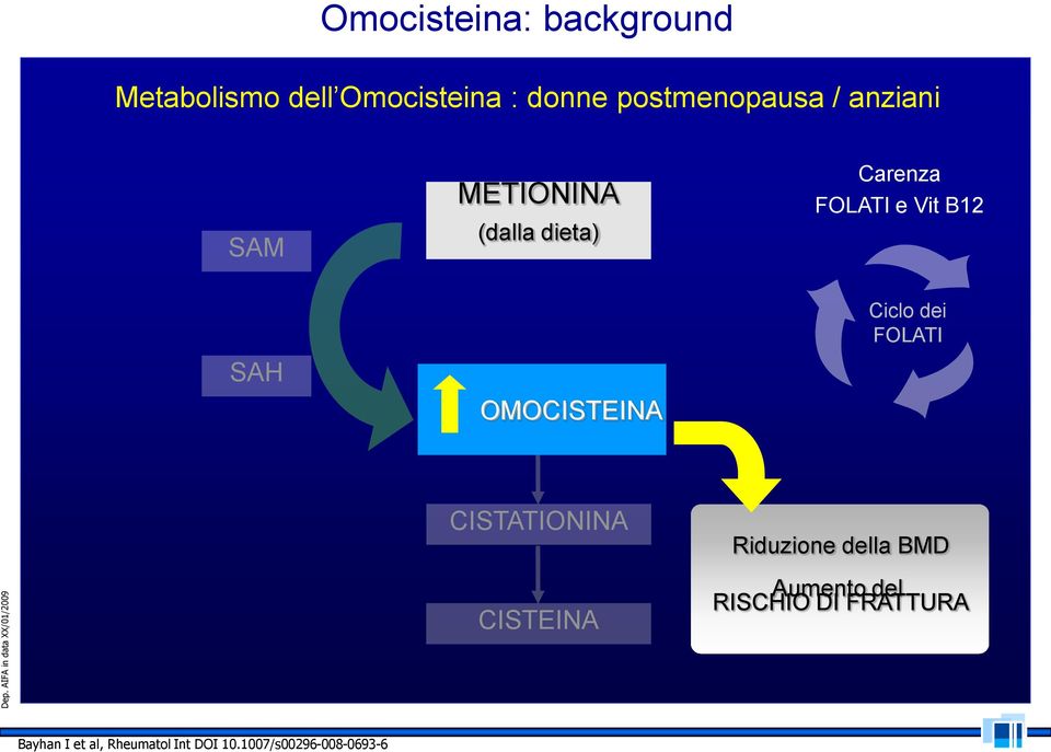 SAH OMOCISTEINA Ciclo dei FOLATI CISTATIONINA CISTEINA Riduzione della BMD Aumento