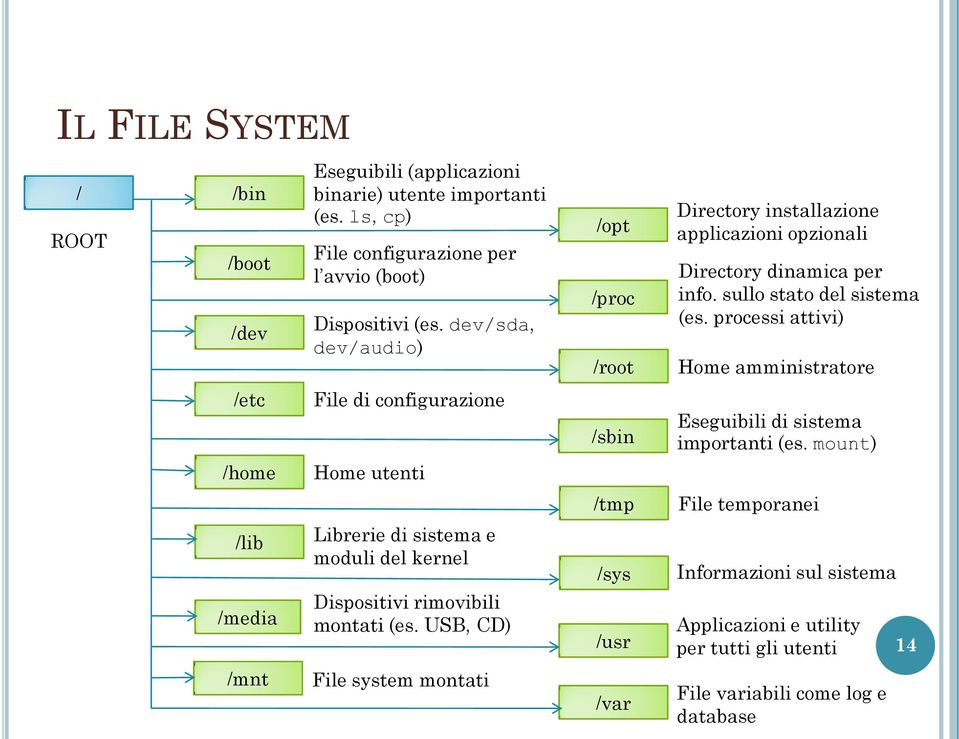 dev/sda, dev/audio) File di configurazione Home utenti Librerie di sistema e moduli del kernel Dispositivi rimovibili montati (es.