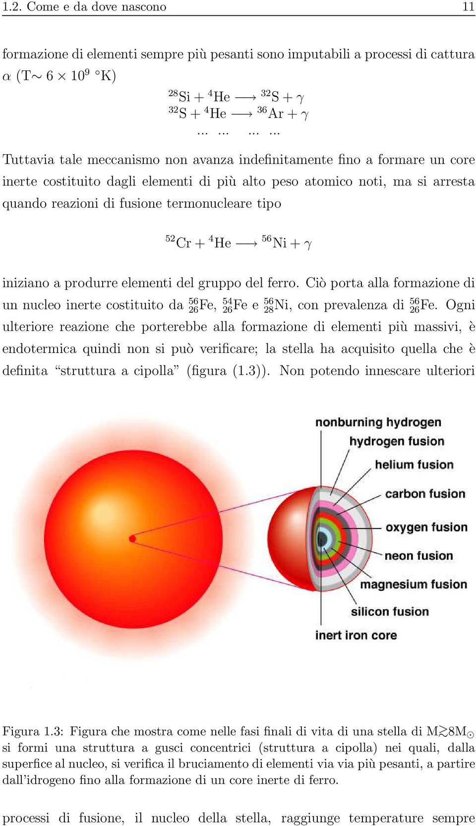 termonucleare tipo 52 Cr + 4 He 56 Ni + γ iniziano a produrre elementi del gruppo del ferro.