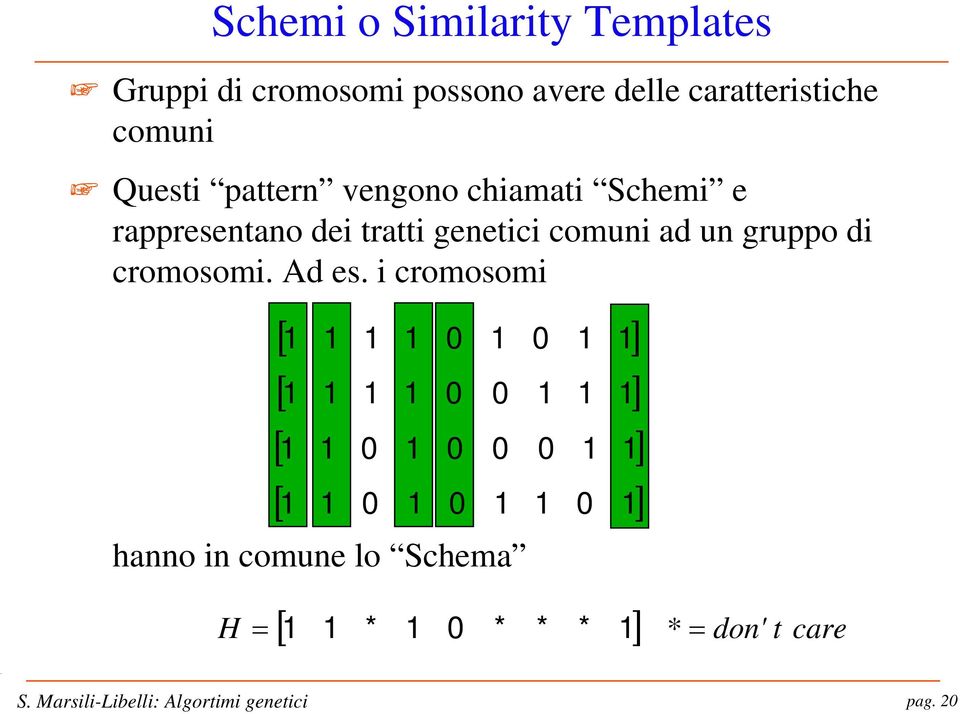 rappresentano dei tratti genetici comuni ad un gruppo di cromosomi. Ad es.